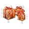 Holiday Gold & Red Sisal Gift Box Set Clear Lights